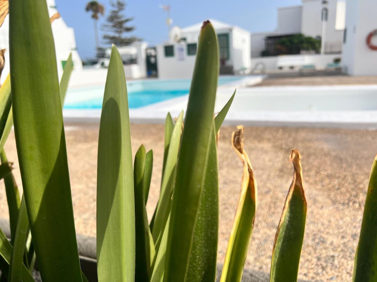 Las Mimosas Beach Sol 卡门港 外观 照片